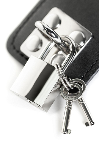 Ошейник с&nbsp;поводком Toyfa Theatre