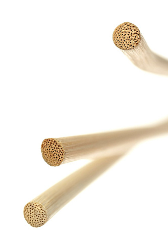 Розги из&nbsp;лозы Toyfa Theatre