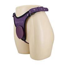 Трусы Harness Briefs, фиолетовые