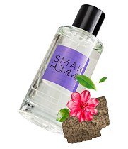 Туалетная вода с афродизиаками RUF SMAK HOMME для мужчин, 50 мл