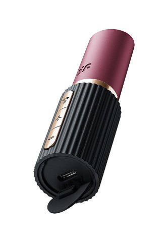 Вакуумный стимулятор Satisfyer Deep Kiss